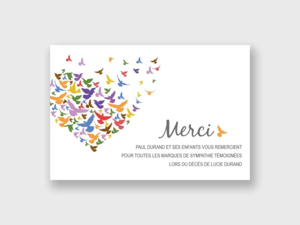 Envol oiseaux coeur