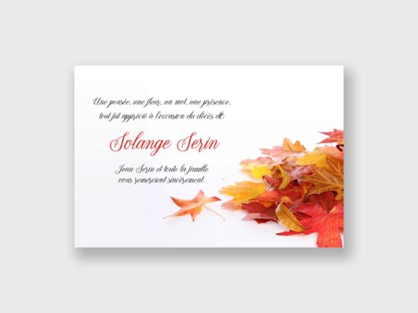 Feuilles d'Automne
