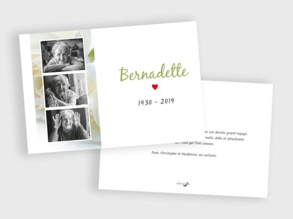 Photos sur rose blanche