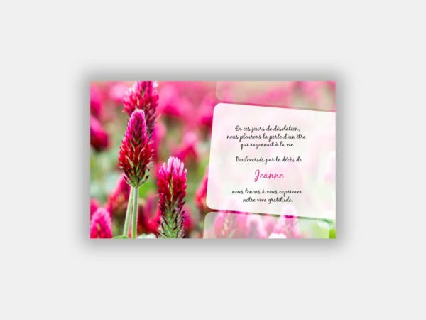 Fleurs rouges