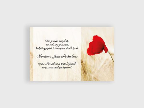 Coquelicot 2