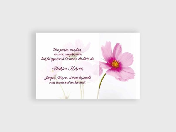 Fleurs sauvages