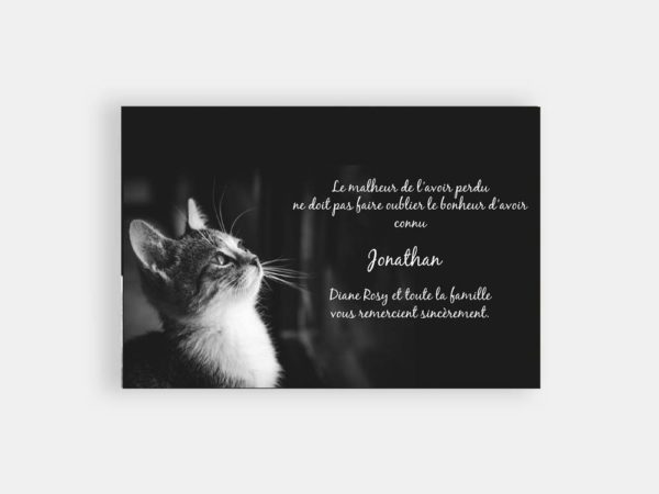 Chat en noir et blanc