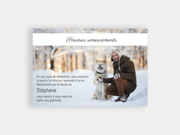 Chien sous la neige