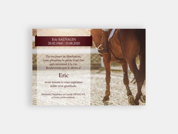 Equitation